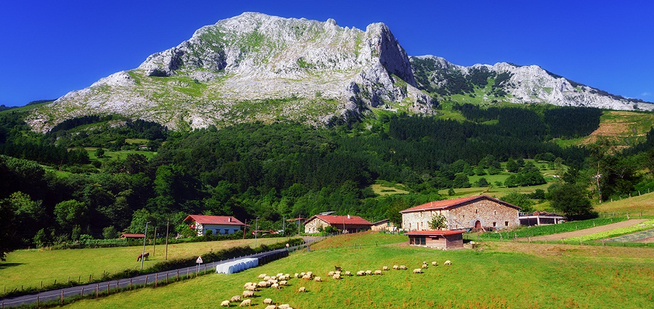 Pourquoi faut-il privilégier le tourisme vert ?